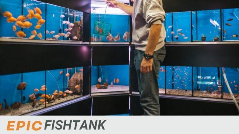 About Epic Fish Tank - Aquarium Racks